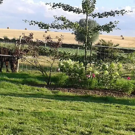 Bed & Breakfast Hermitage Henry *